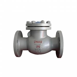 DN50 PN25 介質：甲胺，溫度：80℃止回閥