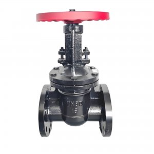 法蘭連接閘閥（明桿）Z41T-10/16/200