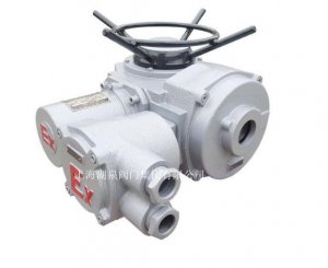物聯(lián)網ZB90-24(380)推力型閥門電動裝置