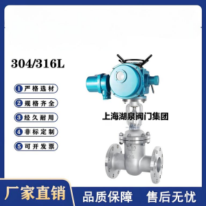 Z941W-16P，DN250，CF8/F304不銹鋼電動閘閥