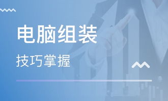 鄭州電腦維修與網(wǎng)站設(shè)計培訓(xùn) 開啟數(shù)字技術(shù)職業(yè)新篇章